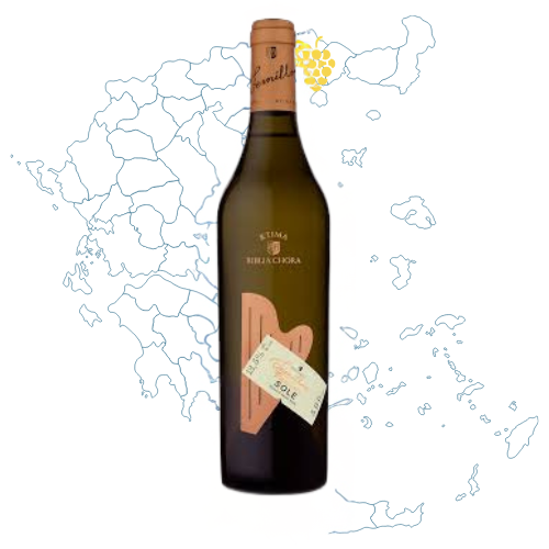 Biblia Chora Sole Semillon