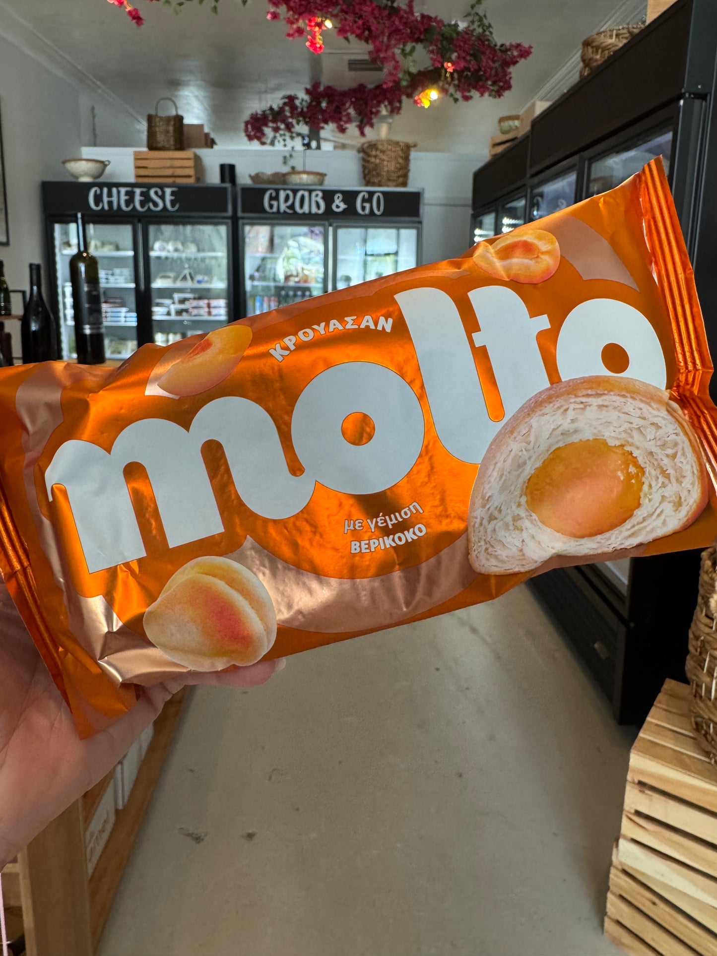 Molto Apricot